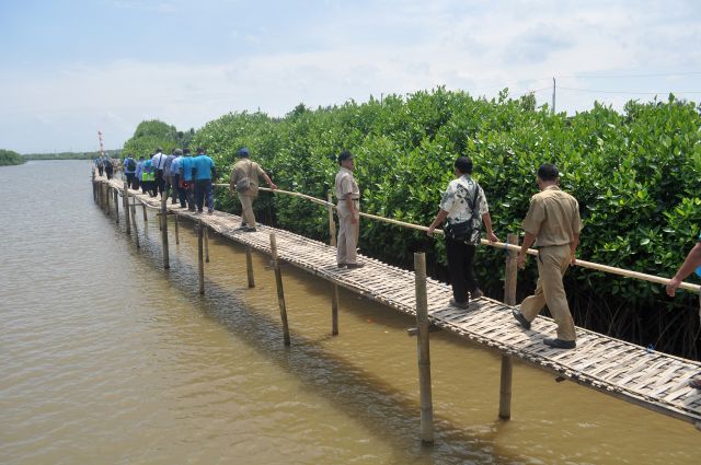 Mangrove Track, Pasir Mendit, Jangkaran, Kulon Progo